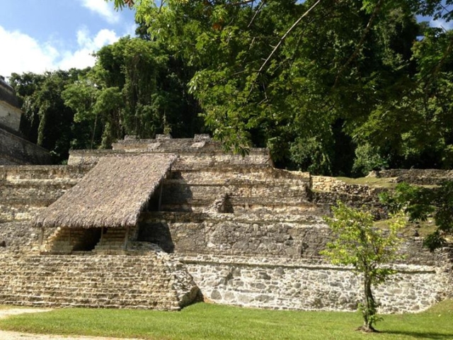 visites guidées 